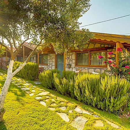 Szálloda Joy Glamping