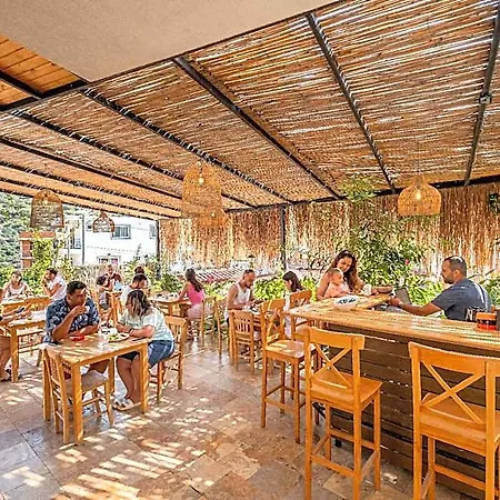 Joy Glamping Szálloda 2*