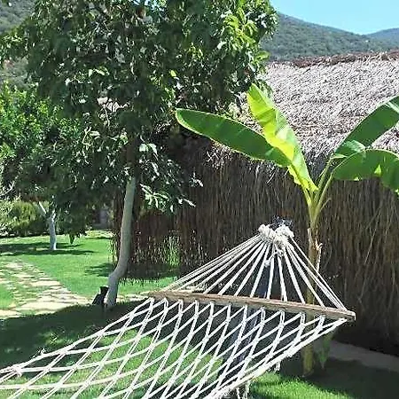 Joy Glamping Kaş